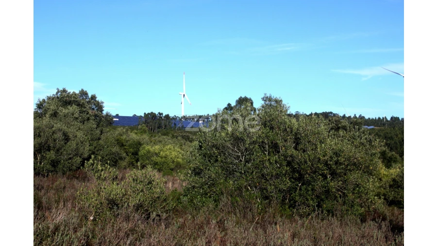 Terreno para Venda em Mira de Aire Foto 22