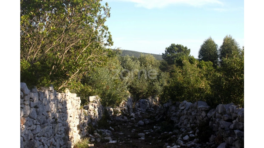Terreno para Venda em Mira de Aire Foto 1