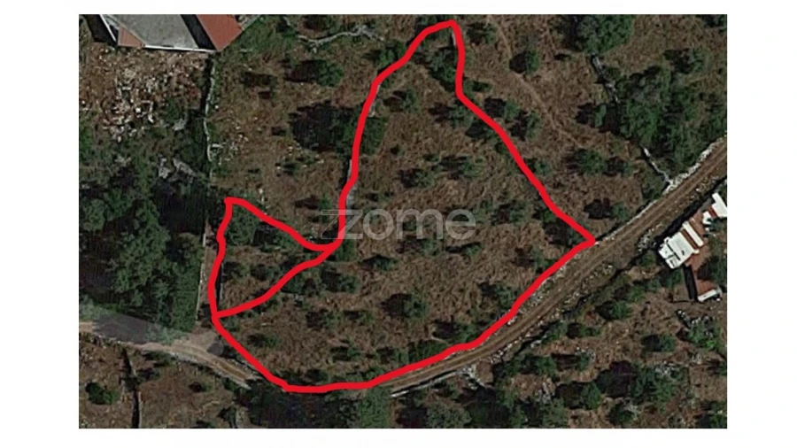 Terreno para Venda em Mira de Aire Foto 3