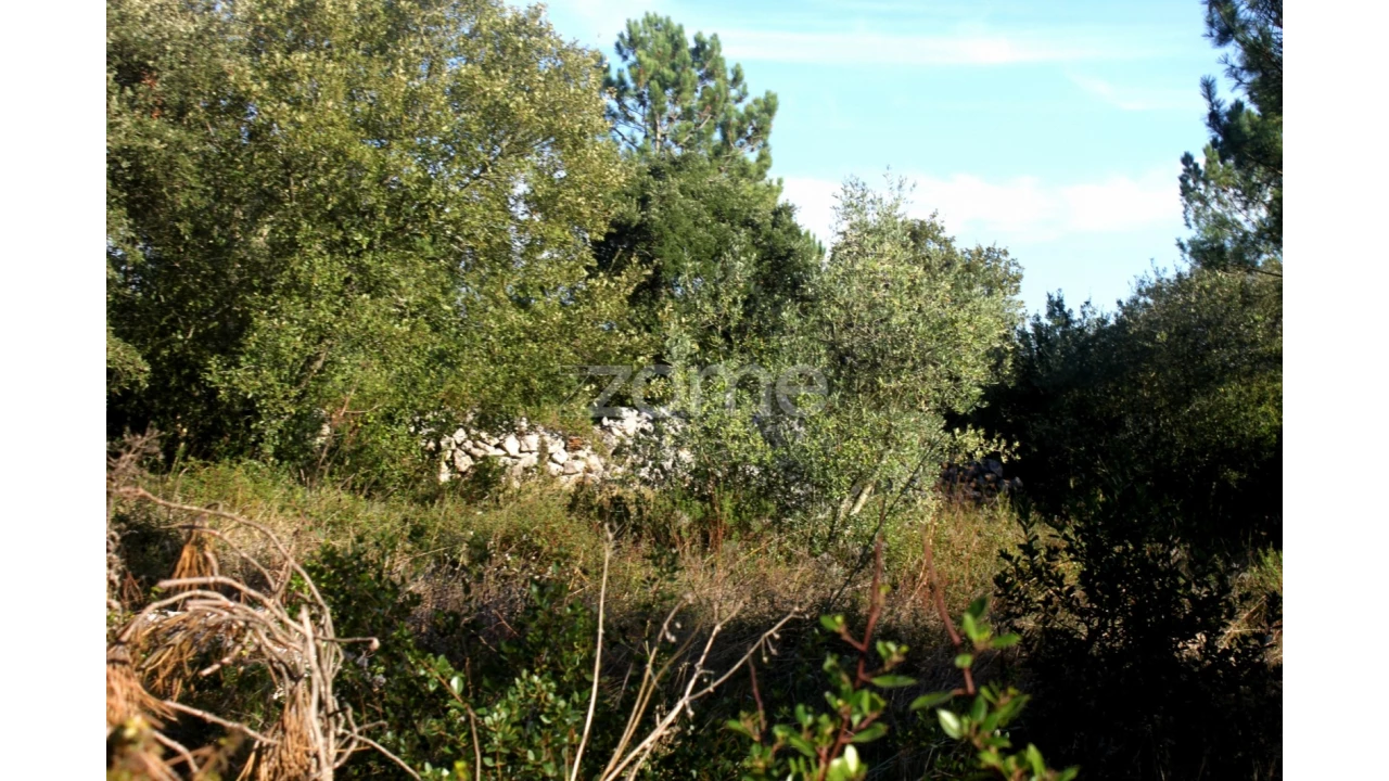 Terreno para Venda em Mira de Aire Foto 19
