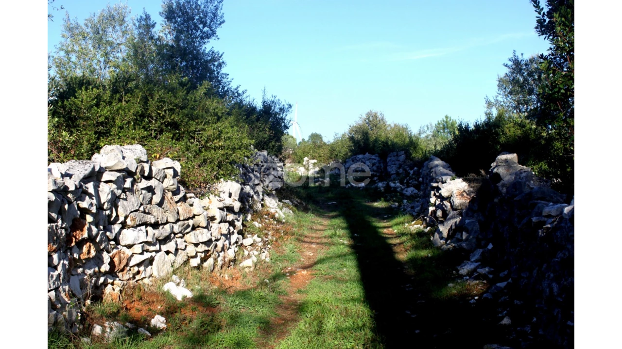 Terreno para Venda em Mira de Aire Foto 10