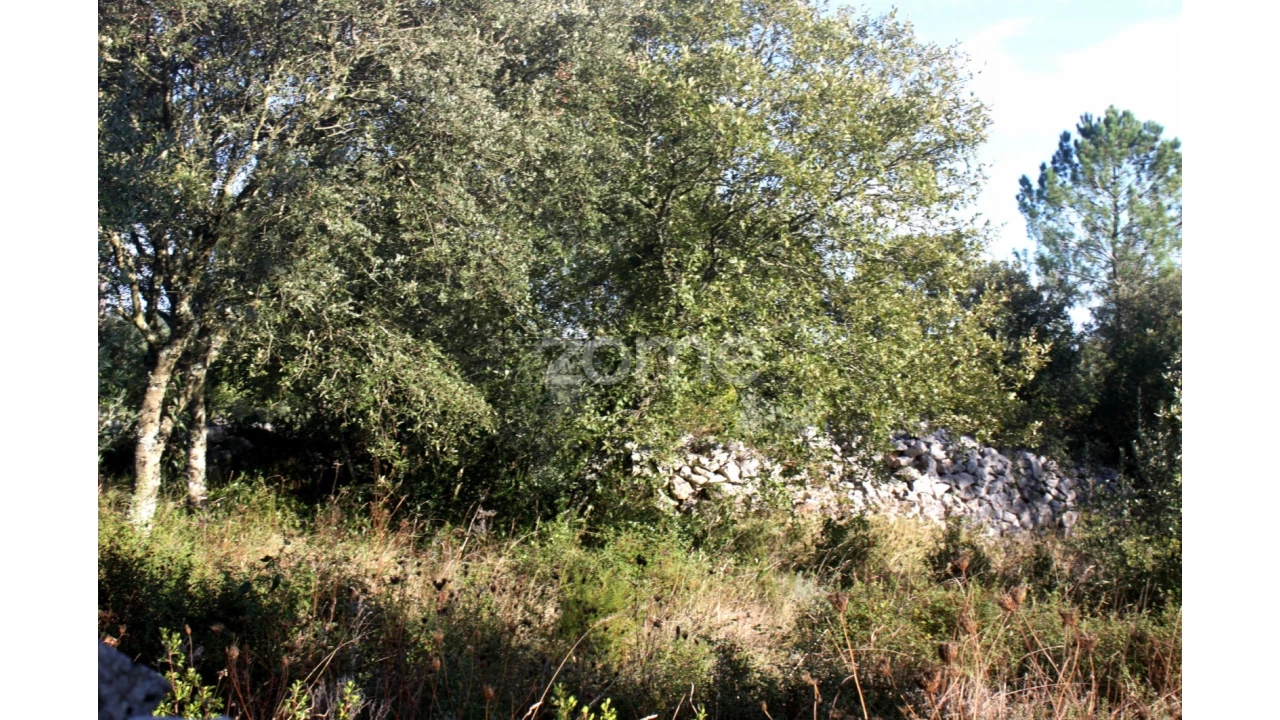 Terreno para Venda em Mira de Aire Foto 20