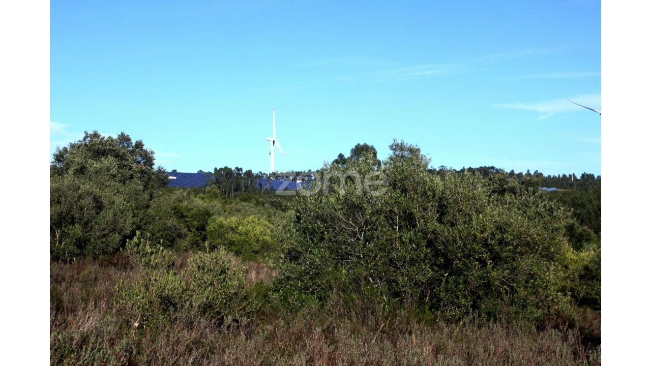 Terreno para Venda em Mira de Aire Foto 22