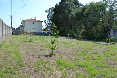 Terreno para Venda em Marinha Grande