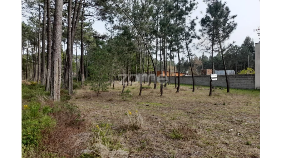 Terreno para Venda em Alcobaça e Vestiaria Foto 19