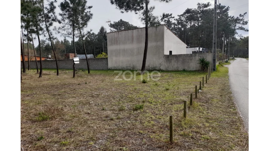 Terreno para Venda em Alcobaça e Vestiaria Foto 21