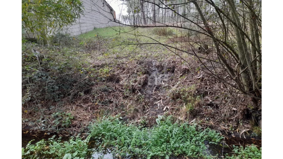 Terreno para Venda em Alcobaça e Vestiaria Foto 9
