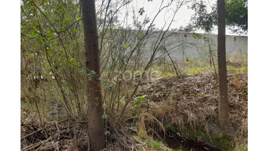 Terreno para Venda em Alcobaça e Vestiaria Foto 11