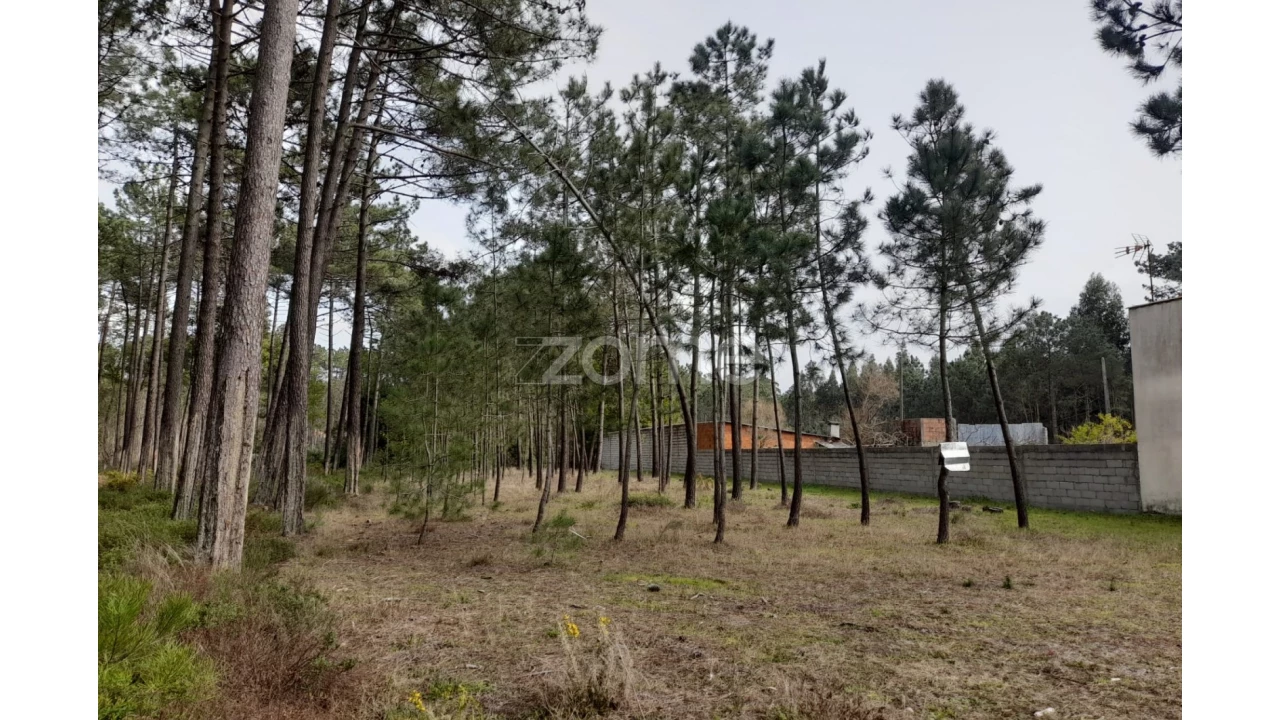 Terreno para Venda em Alcobaça e Vestiaria Foto 3