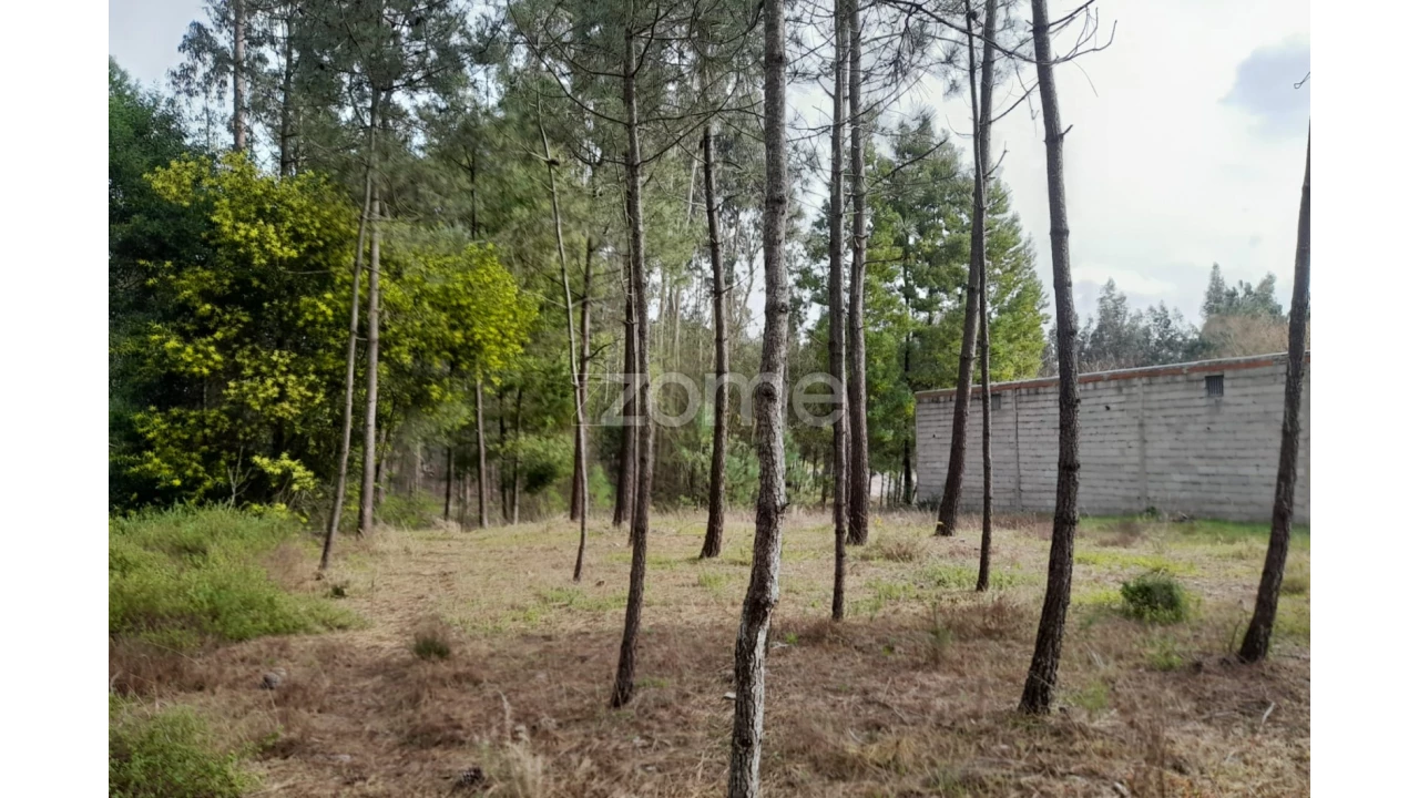 Terreno para Venda em Alcobaça e Vestiaria Foto 14