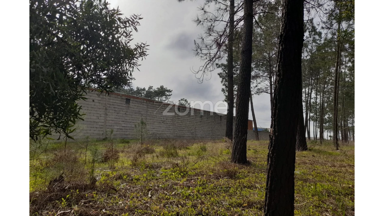 Terreno para Venda em Alcobaça e Vestiaria Foto 15