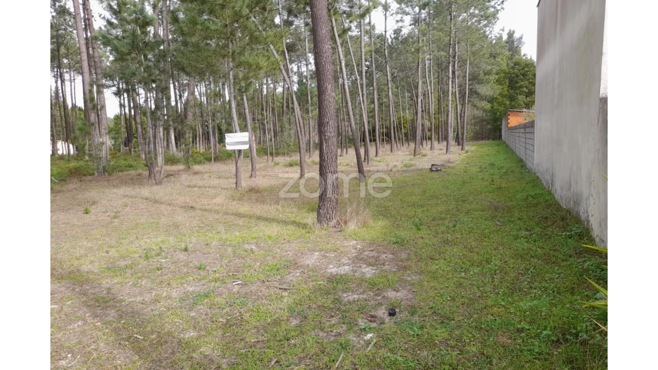 Terreno para Venda em Alcobaça e Vestiaria Foto 1