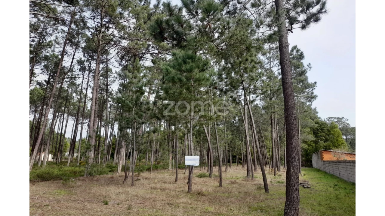 Terreno para Venda em Alcobaça e Vestiaria Foto 18
