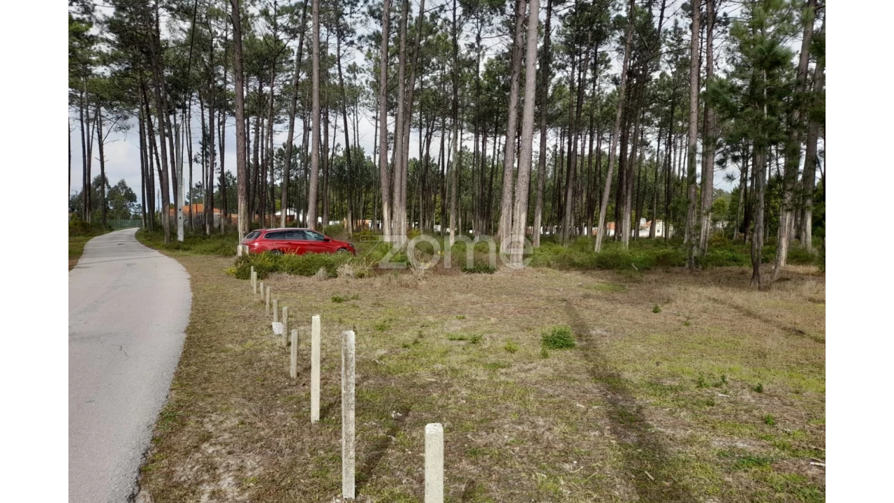 Terreno para Venda em Alcobaça e Vestiaria Foto 20
