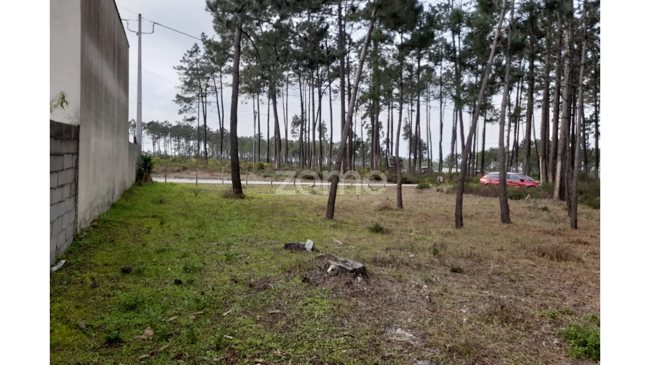 Terreno para Venda em Alcobaça e Vestiaria Foto 2