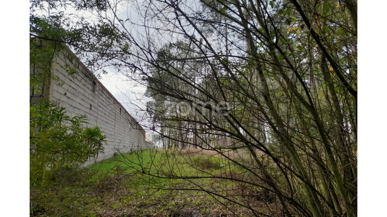 Terreno para Venda em Alcobaça e Vestiaria Foto 5