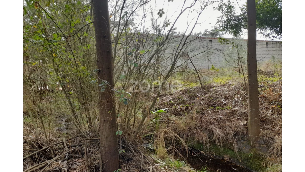 Terreno para Venda em Alcobaça e Vestiaria Foto 11