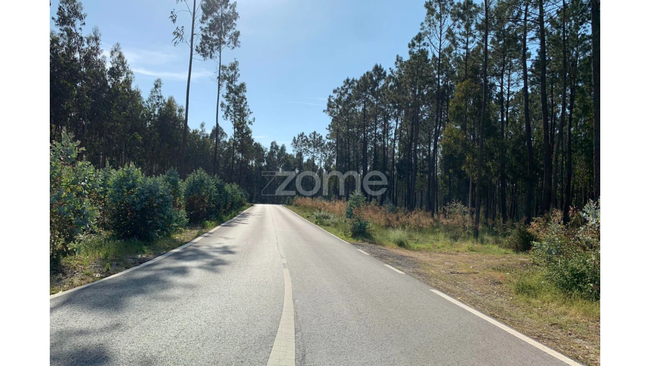 Terreno para Venda em Marinha Grande Foto 1