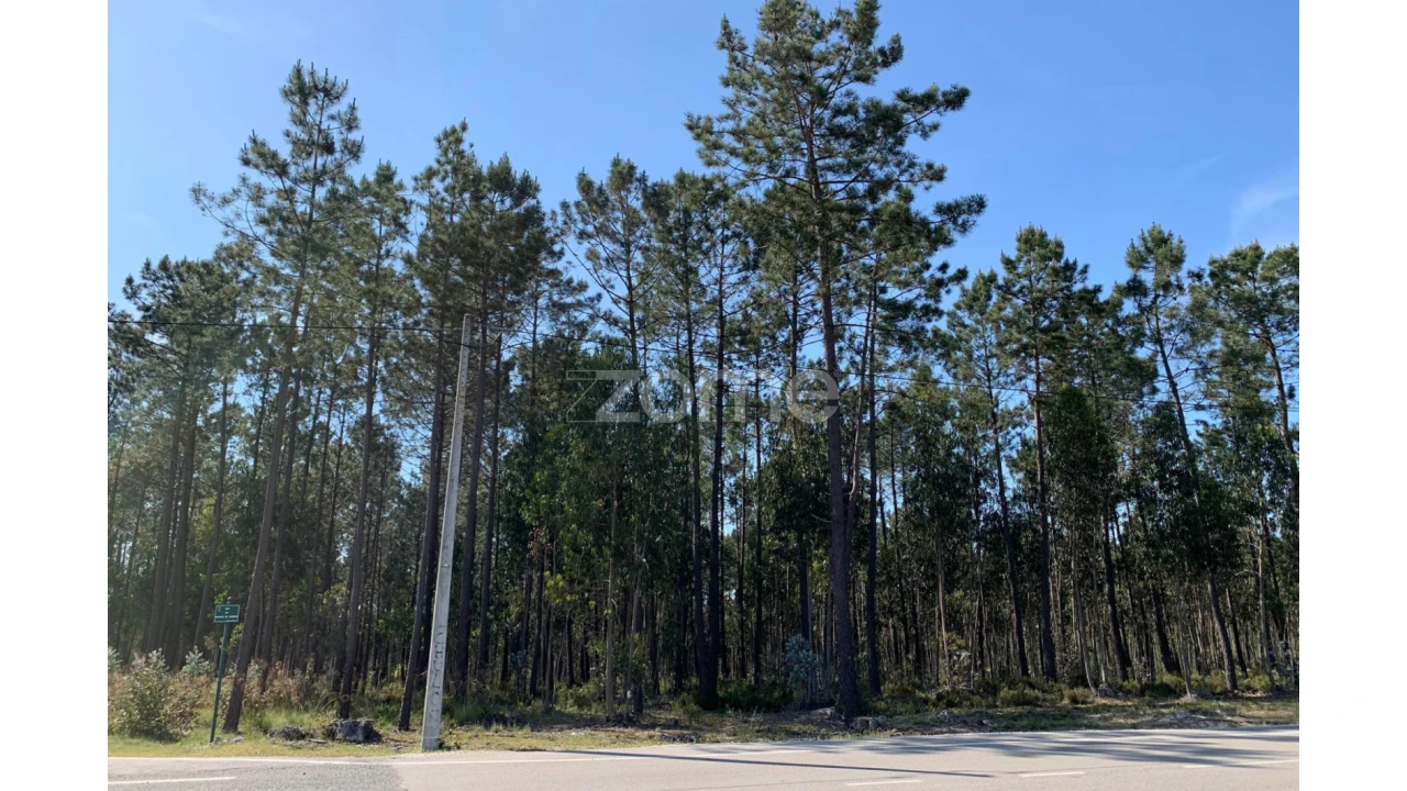 Terreno para Venda em Marinha Grande Foto 2