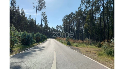 Terreno para Venda em Marinha Grande