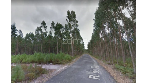 Terreno para Venda em Marinha Grande