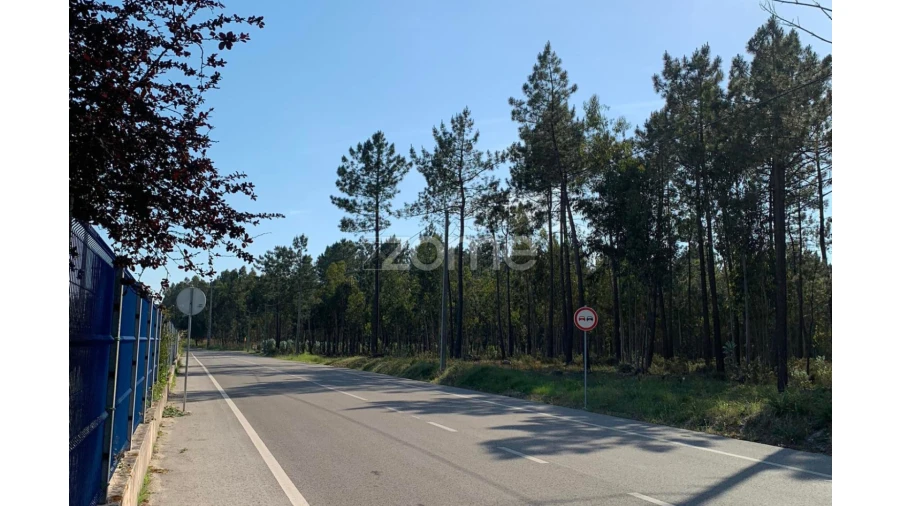 Terreno para Venda em Marinha Grande Foto 7