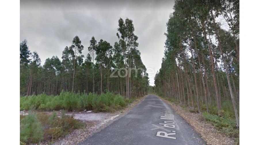 Terreno para Venda em Marinha Grande Foto 11