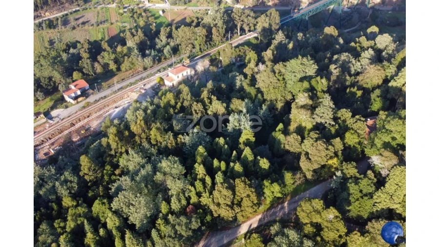 Quinta T15 para Venda em Luso Foto 26