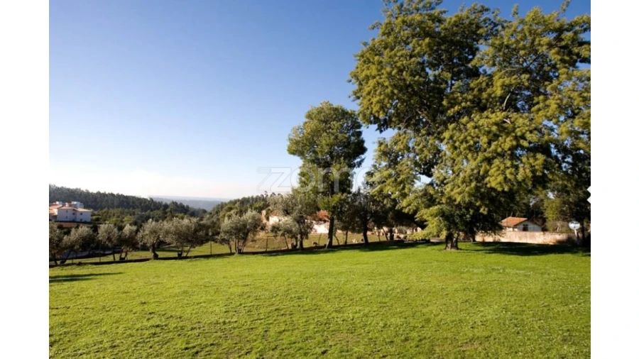 Quinta T15 para Venda em Luso Foto 4