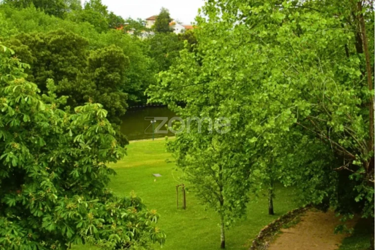 Terreno para Venda em Luso Foto 13