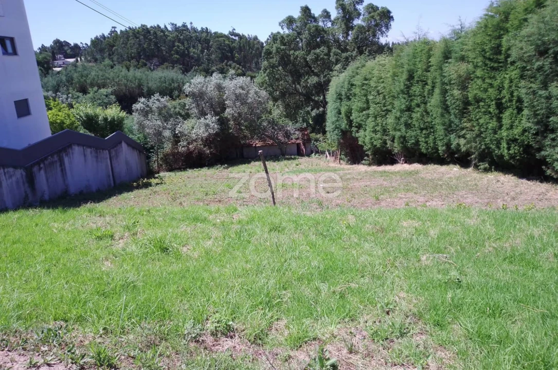 Terreno para Venda em Luso Foto 4