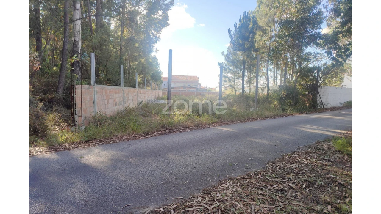 Terreno para Venda em Pedreiras Foto 5