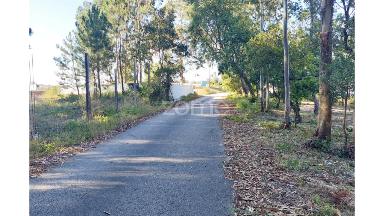Terreno para Venda em Pedreiras Foto 9