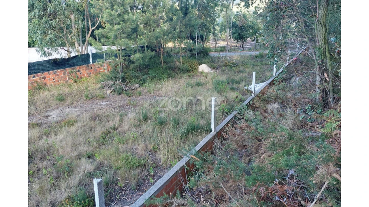 Terreno para Venda em Pedreiras Foto 12