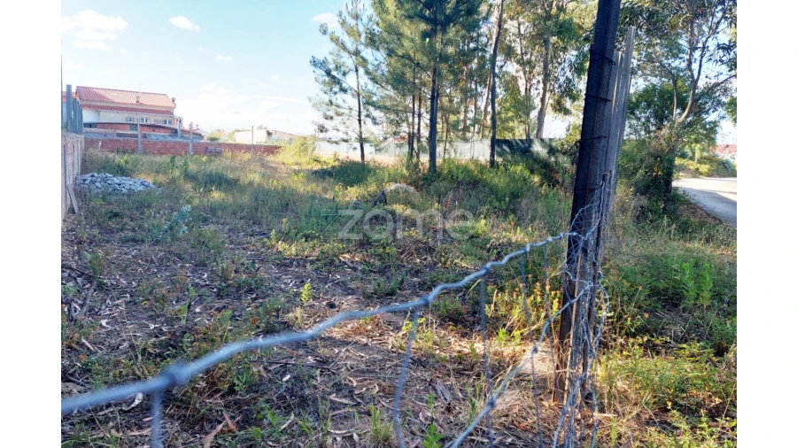 Terreno para Venda em Pedreiras Foto 6