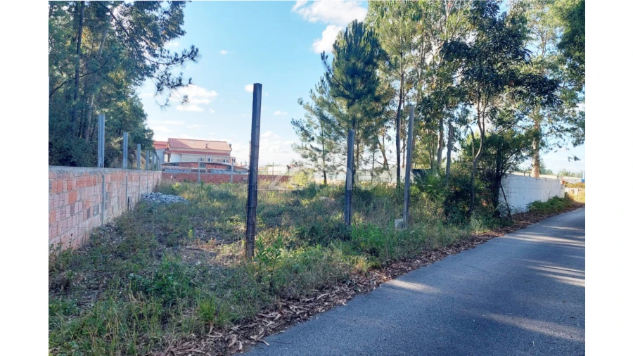 Terreno para Venda em Pedreiras Foto 7