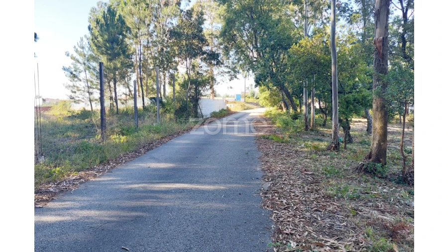 Terreno para Venda em Pedreiras Foto 9
