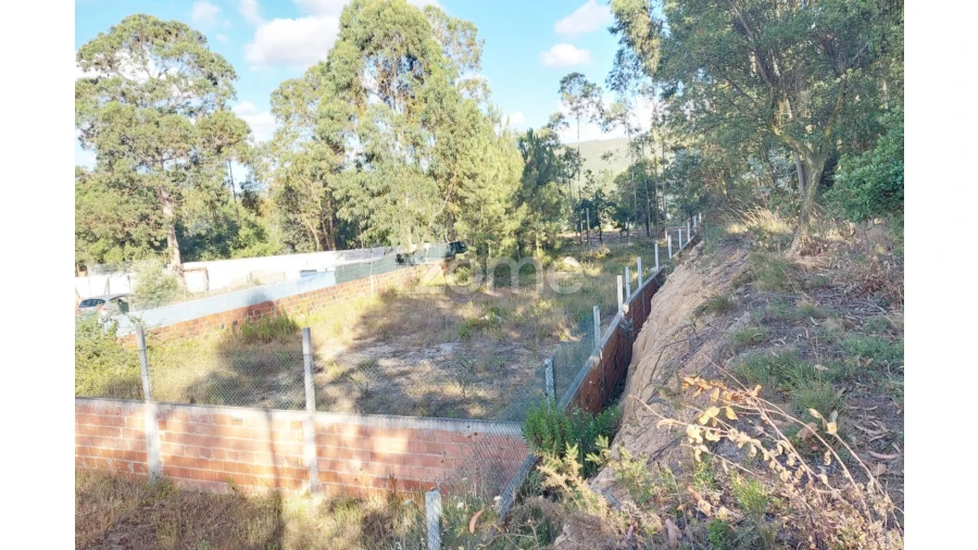 Terreno para Venda em Pedreiras Foto 10