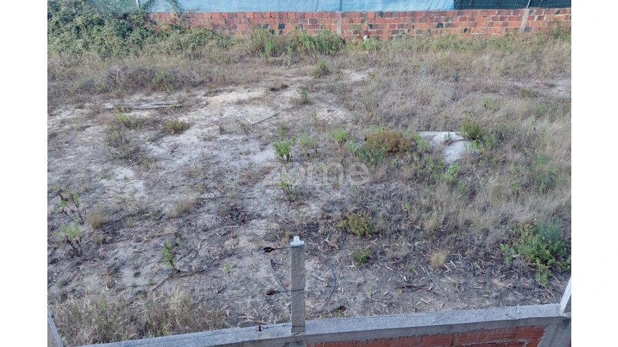 Terreno para Venda em Pedreiras Foto 11