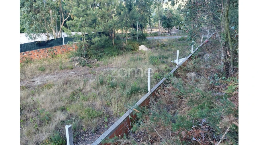 Terreno para Venda em Pedreiras Foto 12