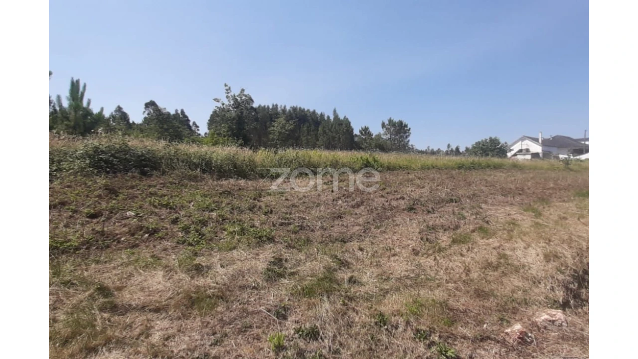 Terreno para Venda em Soure Foto 17