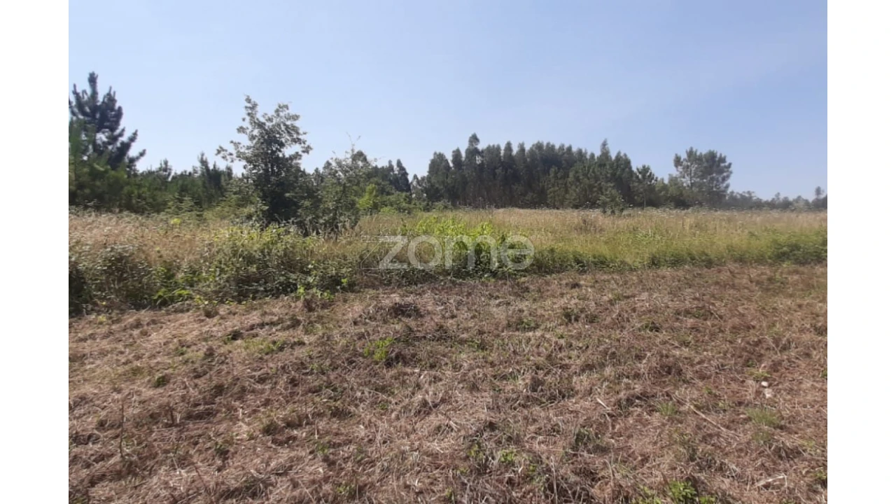 Terreno para Venda em Soure Foto 15