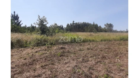 Terreno para Venda em Soure