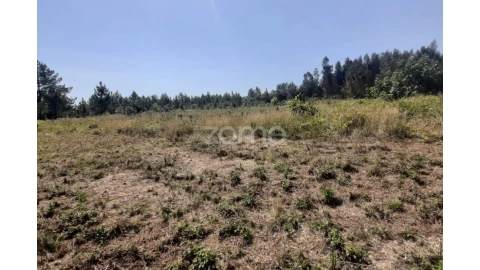 Terreno para Venda em Soure