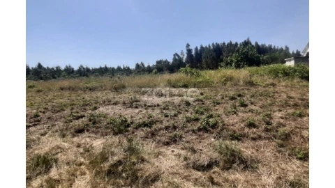 Terreno para Venda em Soure