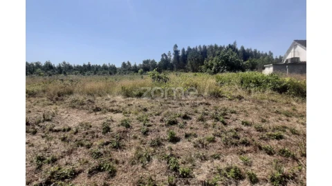 Terreno para Venda em Soure