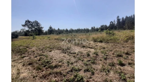 Terreno para Venda em Soure