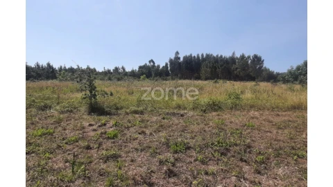 Terreno para Venda em Soure