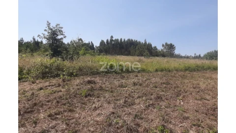 Terreno para Venda em Soure
