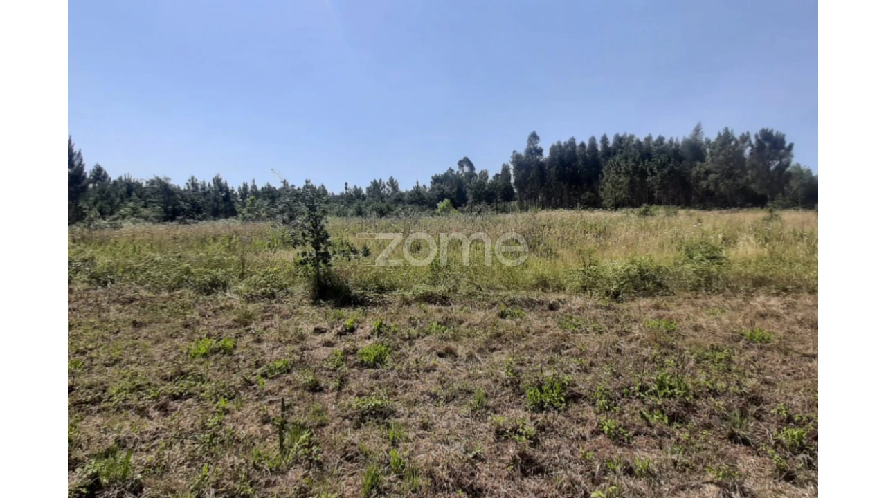 Terreno para Venda em Soure Foto 4